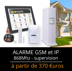 Alarme GSM et IP pas chère