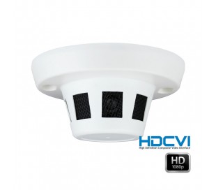 Camera de surveillance dissimulée HDCVI 1080 P