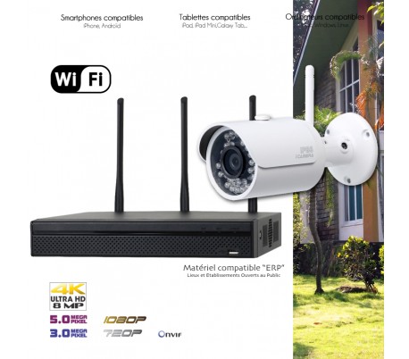 Système de vidéo surveillance WiFi avec 1 caméra extérieure