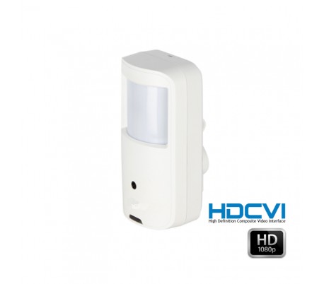 Camera de surveillance cachée HDCVI 1080 P